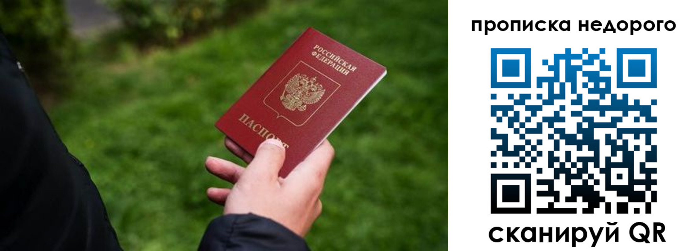 временная регистрация поиск в Лосино-Петровском
